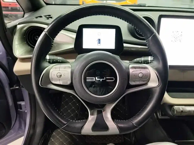 BYD Dolphin — Фото автомобиля 10