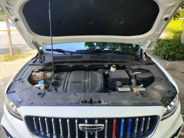 Geely Boyue — Фото автомобиля 19