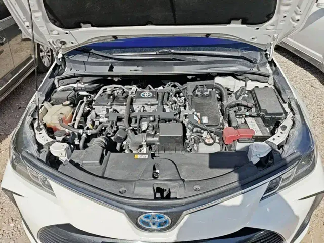 Toyota Corolla — Фото автомобиля 10