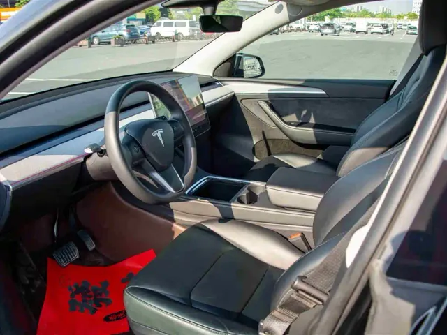 Tesla Model Y — Фото автомобиля 9