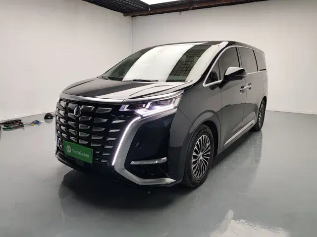 Фотография автомобиля — Denza D9