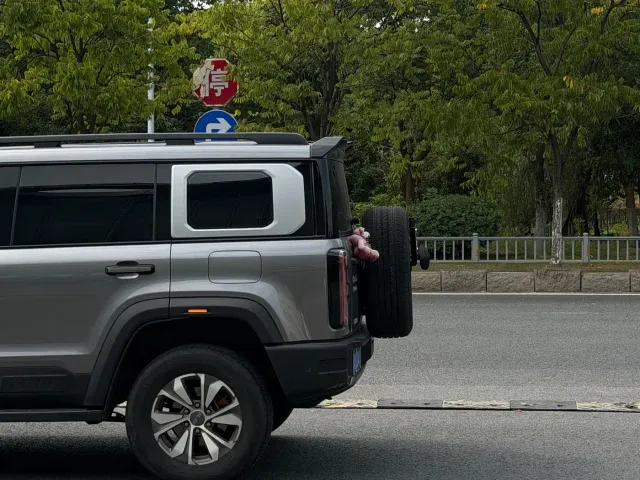 BAIC BJ40 — Фото автомобиля 6