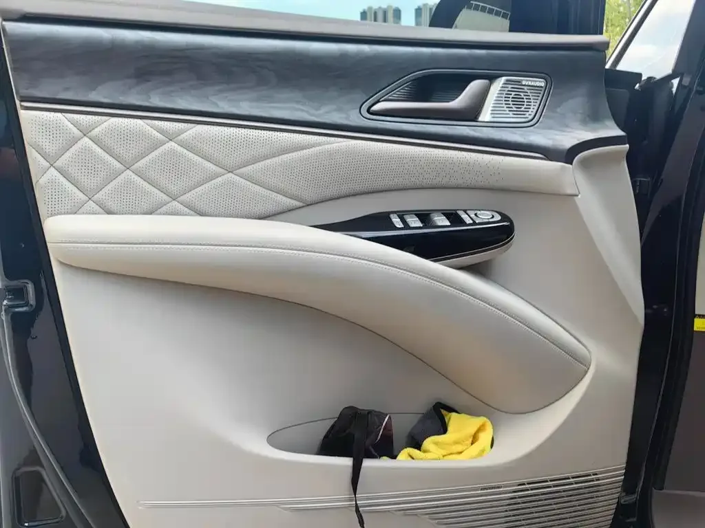 Denza Denza D9 2022 DM-i 1040 Premium — Фото автомобиля 5