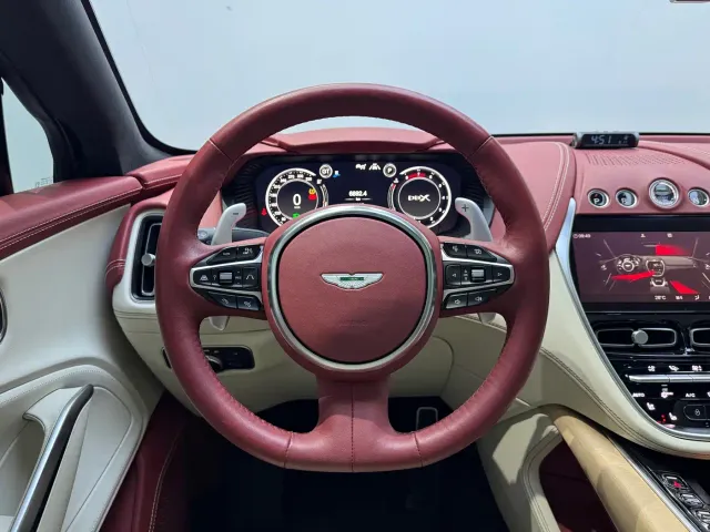 Aston Martin DBX — Фото автомобиля 15