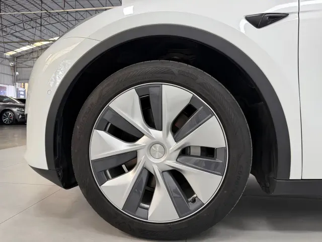 Tesla Model Y — Фото автомобиля 16