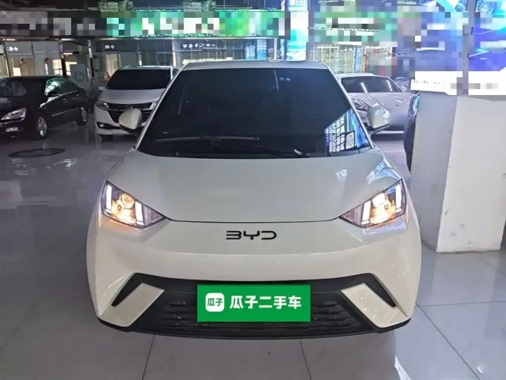BYD Seagull 2024 Glory Edition 305km Vitality Edition — Фото автомобиля 2