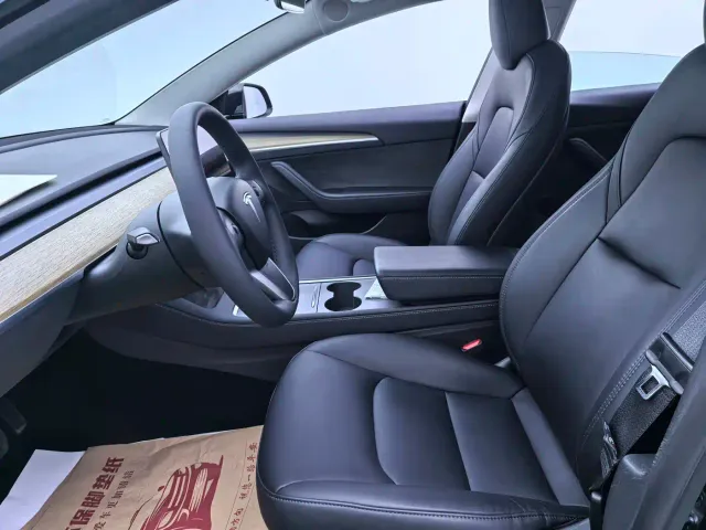 Tesla Model 3 — Фото автомобиля 8