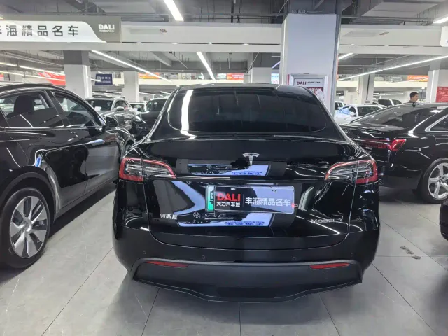 Tesla Model Y — Фото автомобиля 11