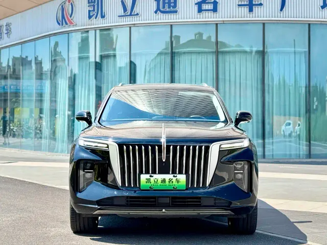 Hongqi E-HS9 — Фото автомобиля 2