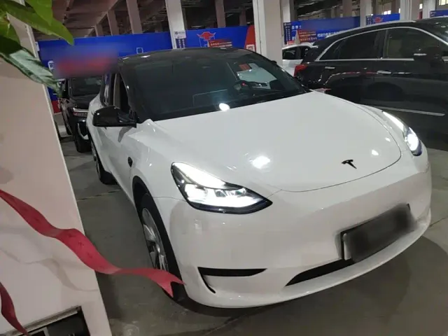 Tesla Model Y — Фото автомобиля 3