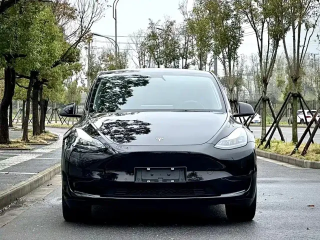 Tesla Model Y — Фото автомобиля 2