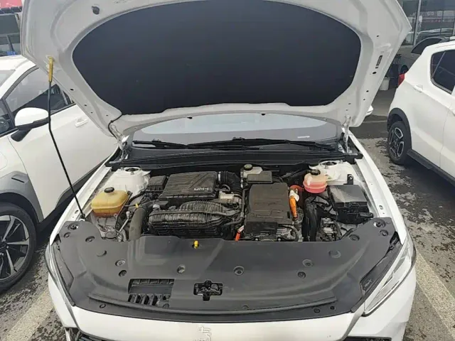 BYD Qin PLUS — Фото автомобиля 19