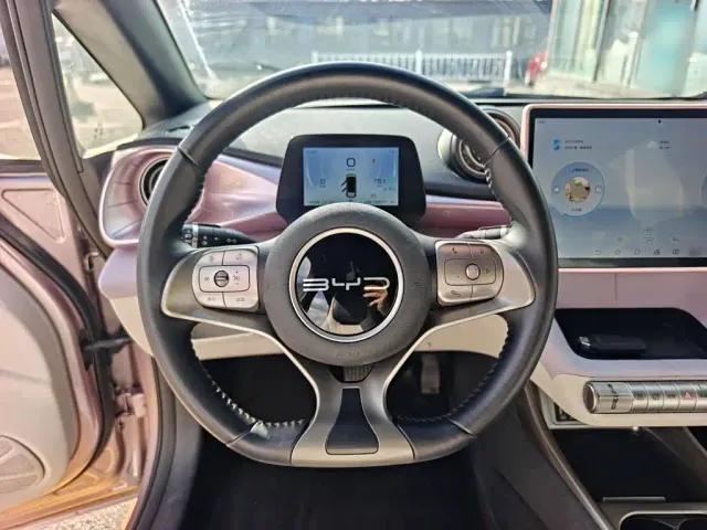 BYD Dolphin — Фото автомобиля 10