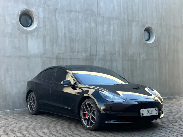 Tesla Model 3 2022 Performance High-Performance AWD — Фото автомобиля 3