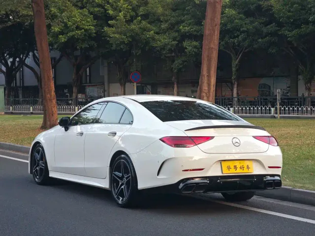 Mercedes-Benz CLS-Class — Фото автомобиля 4