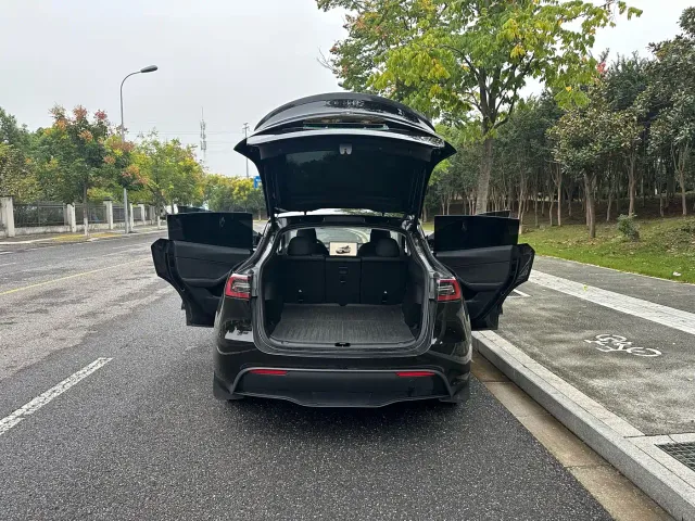 Tesla Model Y — Фото автомобиля 7