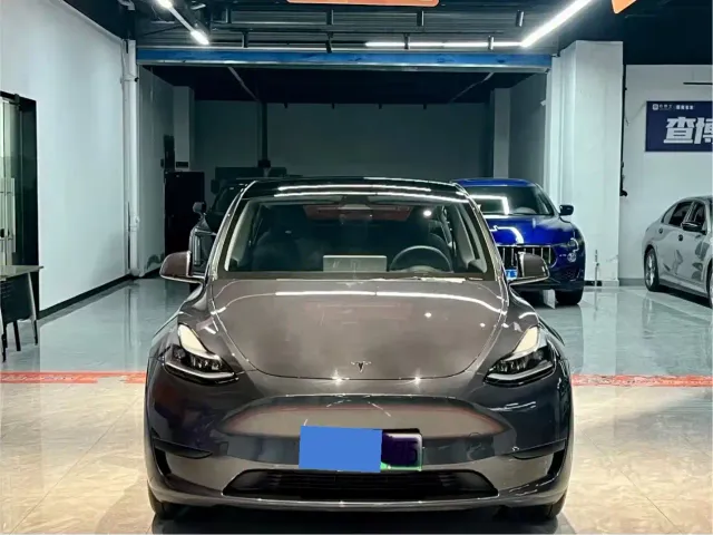 Tesla Model Y — Фото автомобиля 2