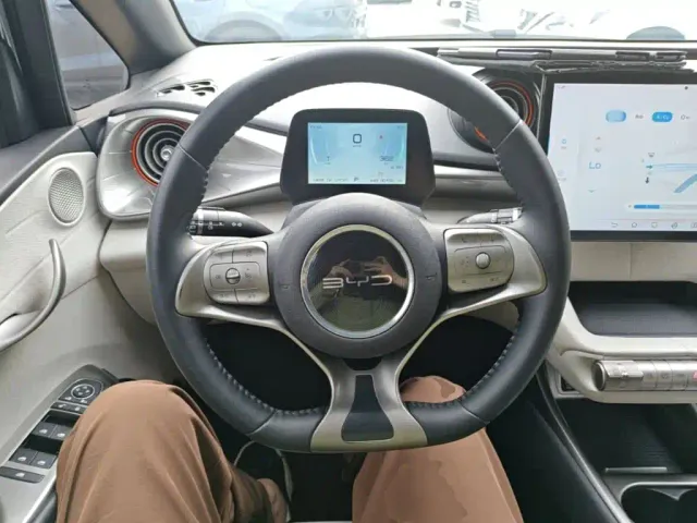 BYD Dolphin — Фото автомобиля 10