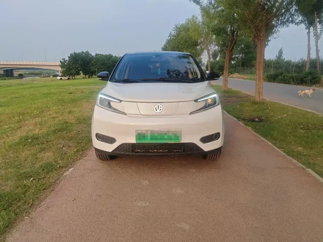 Electric House YOUNG Guang Xiaoxin — Фото автомобиля 3