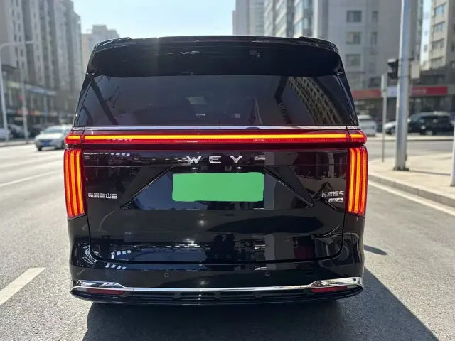 Wey Alpine — Фото автомобиля 9