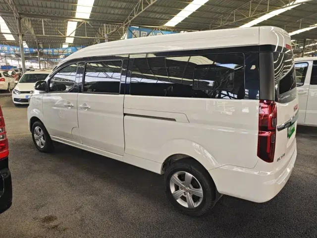 Jinbei Golden Sea Lion Classic — Фото автомобиля 8