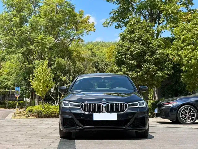 BMW 5 Series — Фото автомобиля 2