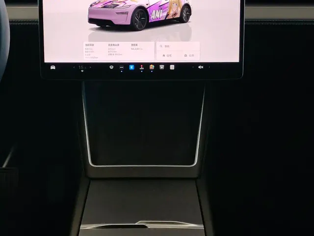 Tesla Model Y — Фото автомобиля 14