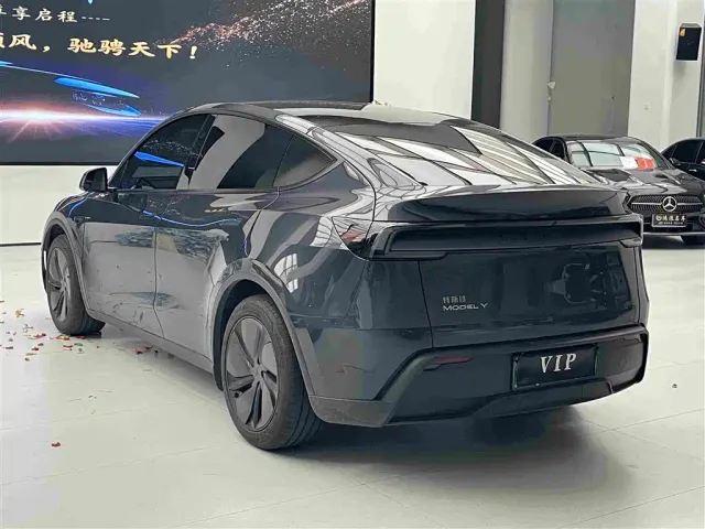 Tesla Model Y — Фото автомобиля 7