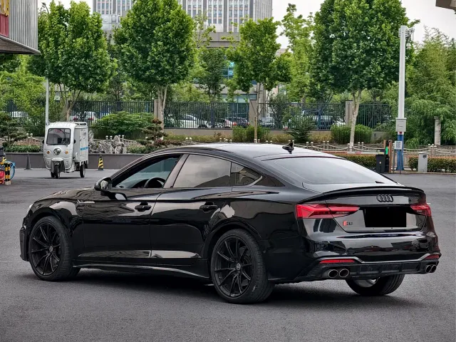 Audi S5 — Фото автомобиля 11
