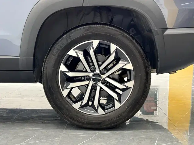 Haval Big Dog — Фото автомобиля 26
