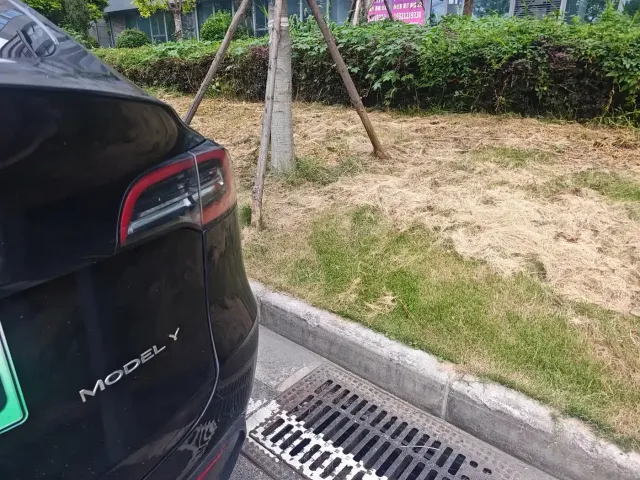 Tesla Model Y — Фото автомобиля 13