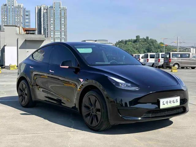 Tesla Model Y — Фото автомобиля 2