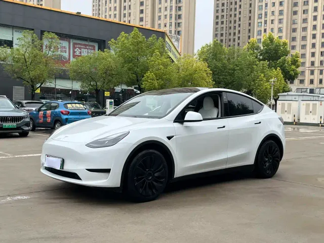 Tesla Model Y — Фото автомобиля 2