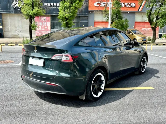 Tesla Model Y — Фото автомобиля 5
