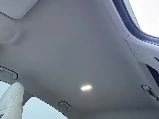 Geely Starry Wish — Фото автомобиля 13