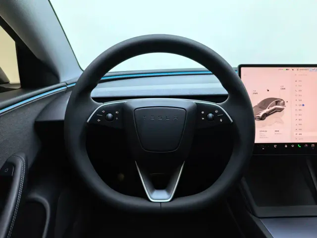 Tesla Model 3 2025 Model Rear-Wheel Drive Edition — Фото автомобиля 6