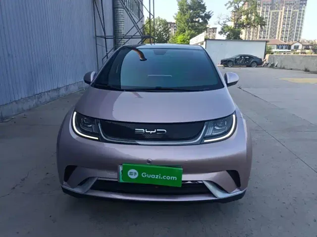 BYD Dolphin — Фото автомобиля 2