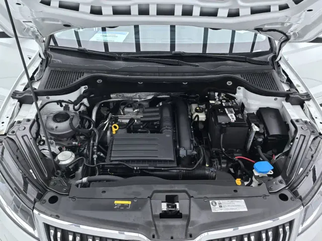 Skoda Karoq — Фото автомобиля 19