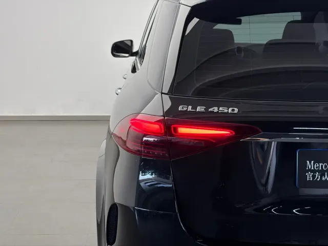 Mercedes-Benz GLE-Class — Фото автомобиля 20