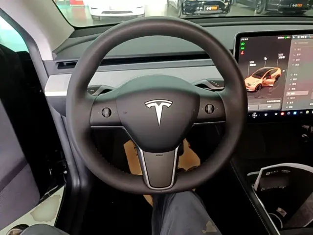 Tesla Model Y — Фото автомобиля 10
