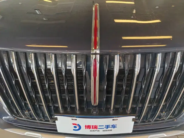 Hongqi HS7 — Фото автомобиля 5