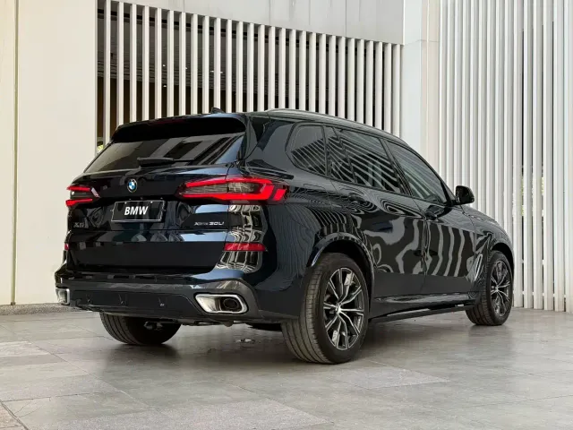 BMW X5 — Фото автомобиля 9