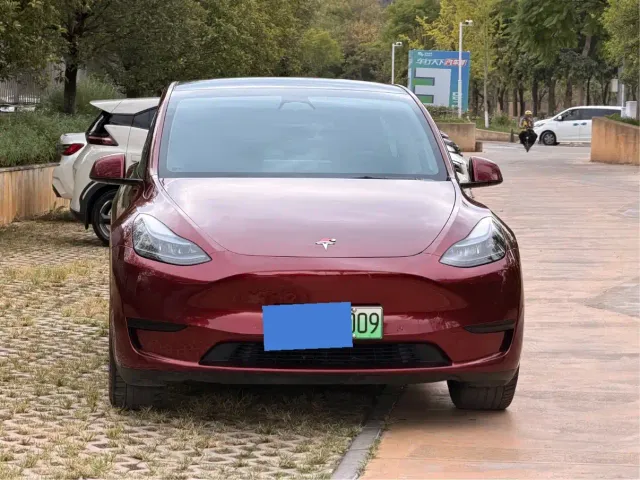 Tesla Model Y — Фото автомобиля 3