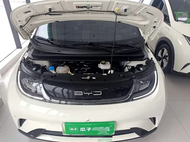 BYD Dolphin — Фото автомобиля 19