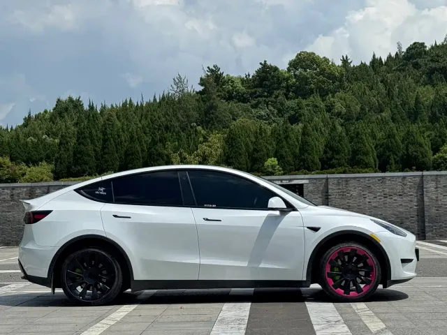 Tesla Model Y — Фото автомобиля 4
