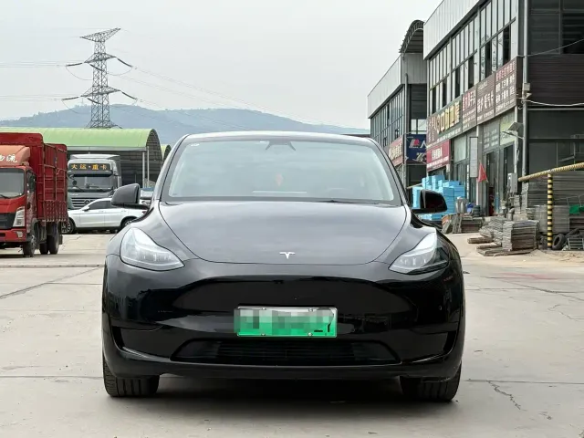 Tesla Model Y — Фото автомобиля 2