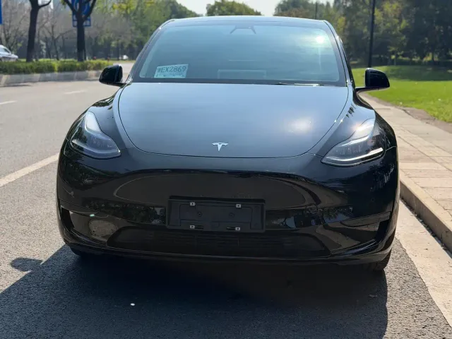 Tesla Model Y — Фото автомобиля 2