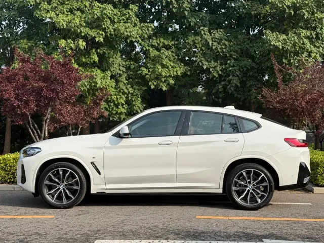 BMW X4 — Фото автомобиля 2