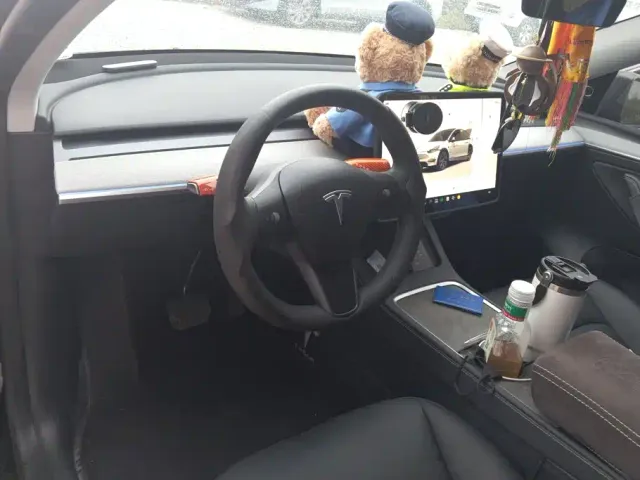 Tesla Model Y — Фото автомобиля 12