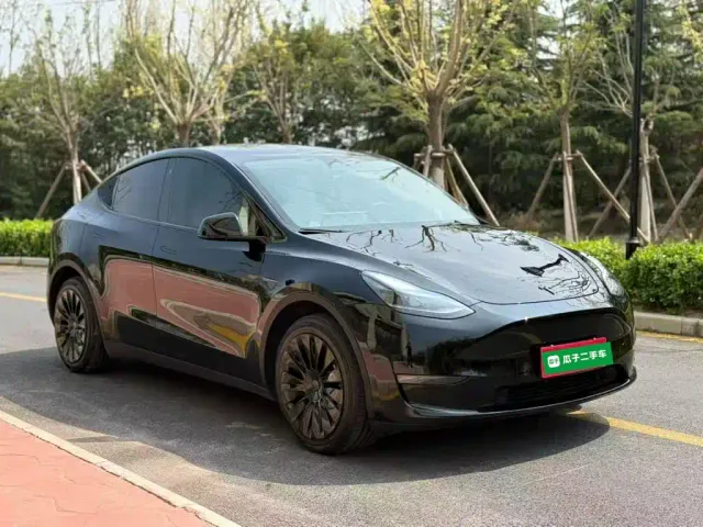 Tesla Model Y — Фото автомобиля 3